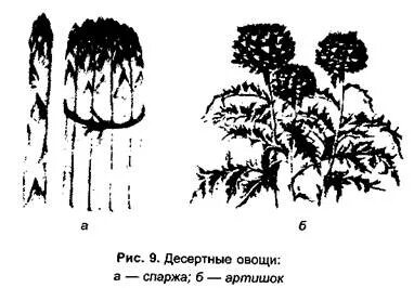 К десертным овощам относят