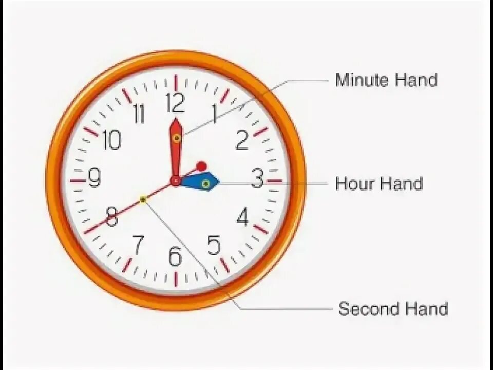 Minutes to hours. Minutes часы. час минута. hour hand. minute hand.