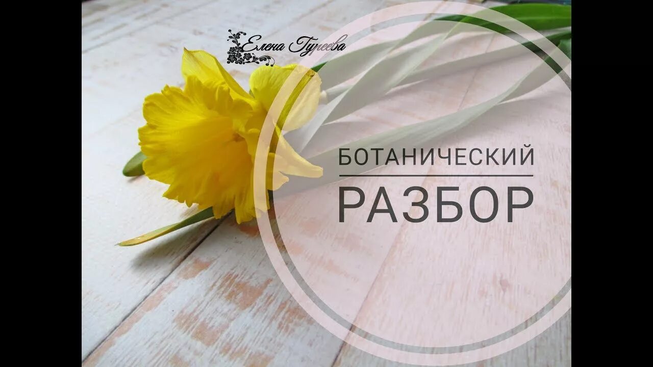 Ботанический разбор цветов. Цвели разбор. Показывается морфологический разбор. Цвели разбор. Огурчики разбор слова.