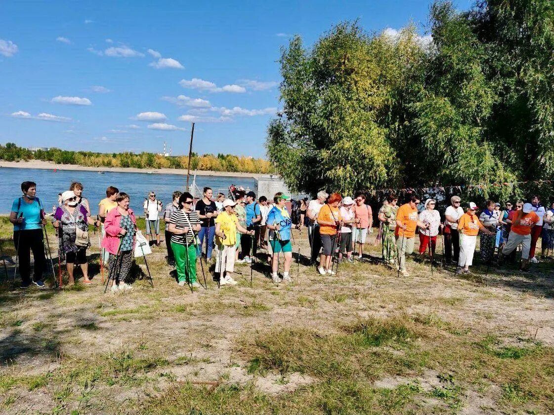 Фестиваль шагающих. Фестиваль скандинавской ходьбы. Фестиваль скандинавской ходьбы Новоильинский район Новокузнецк. Фестиваль Северная ходьба 1 мая Красноярск фотографии участников. В городе Никольске фестивале скандинавам.