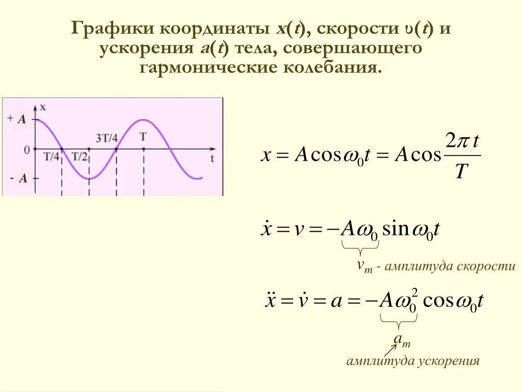 Формула гармонической скорости. Как найти амплитуду скорости по графику. Амплитуда скорости при колебаниях. Как найти скорость тела при колебаниях. Как найти ускорение по графику колебаний.