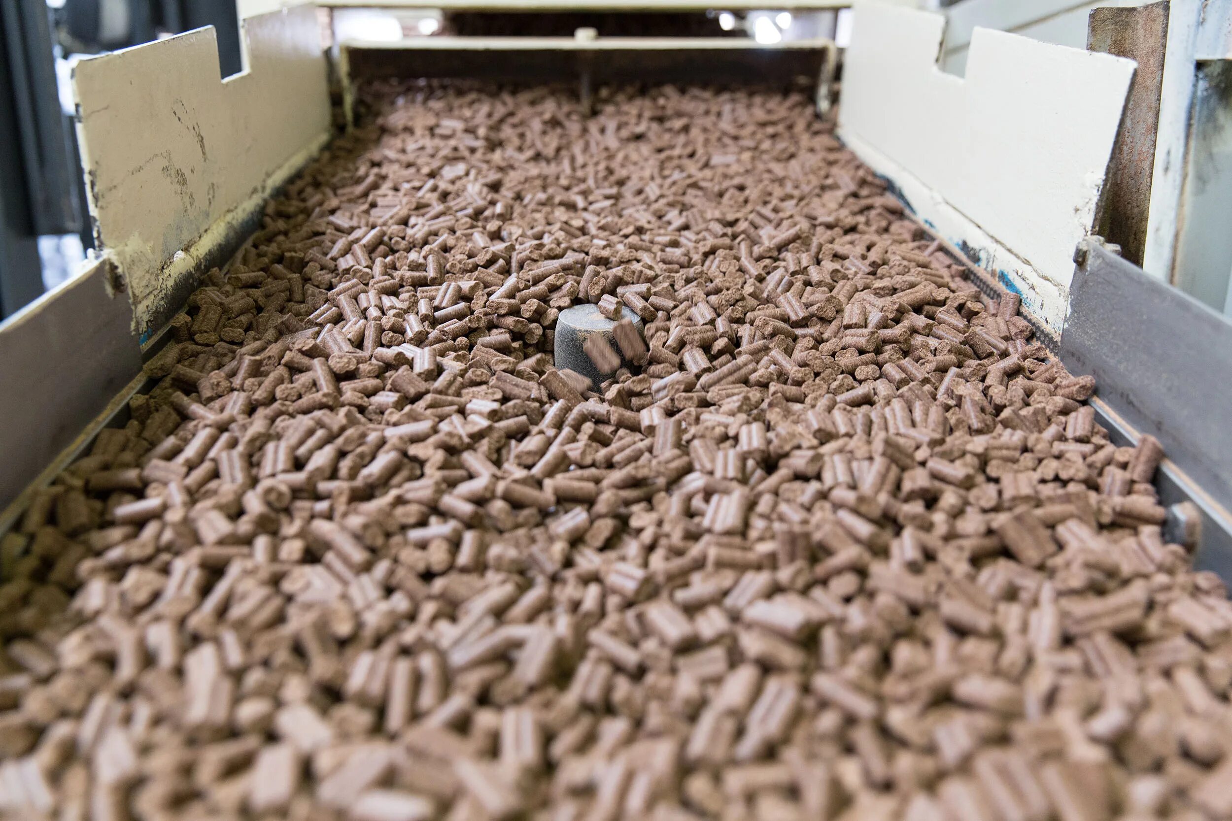 Feed работало. Feed raw materials. pellets gif. dog food pellet. the fuel pellet manufacturing plant pik-bio.
