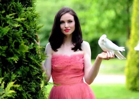 Sophie ellis bextor mp3