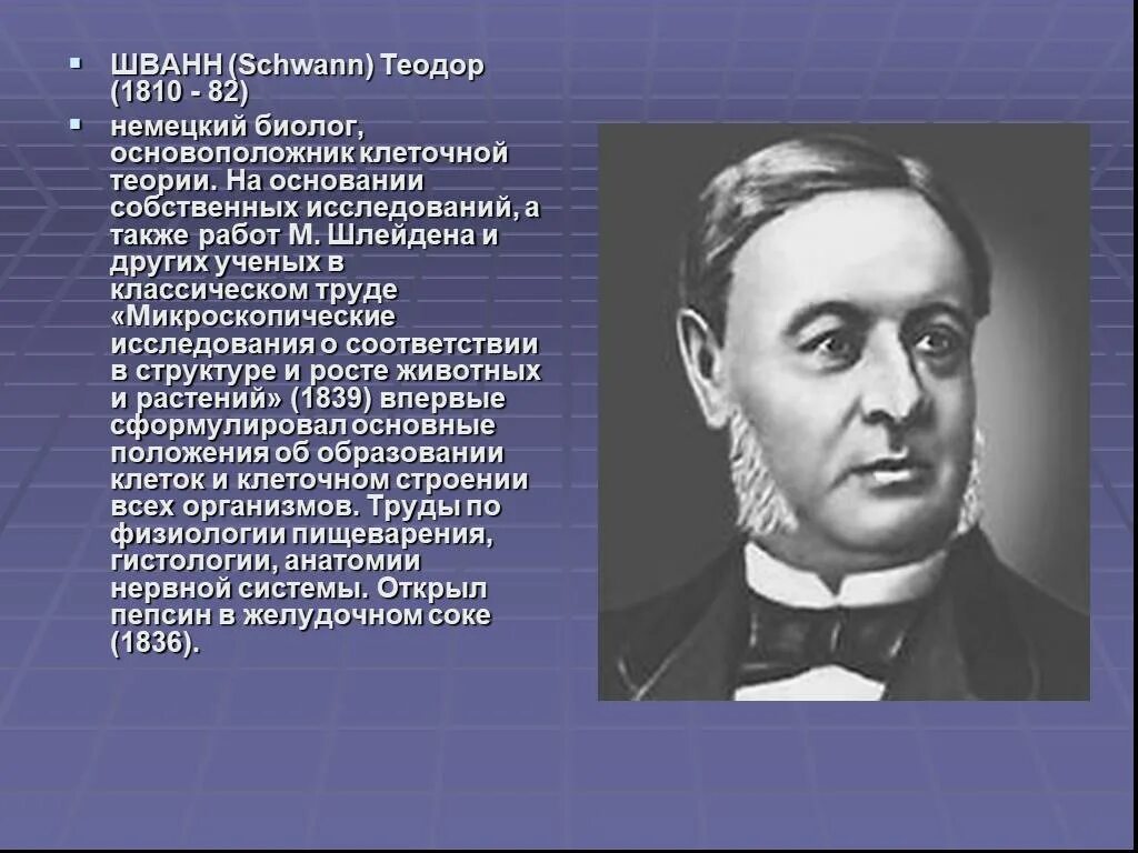 Т шванн сформулировал. Теодор шванн (1810-1882). теодор шванн клеточная теория. теодор шванн вклад в биологию 1839. теодор шванн что открыл.