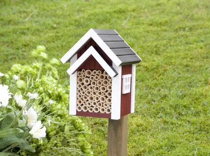 Wildlife garden