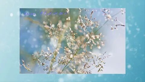 Солнечная капель слушать