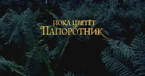 Пока 13