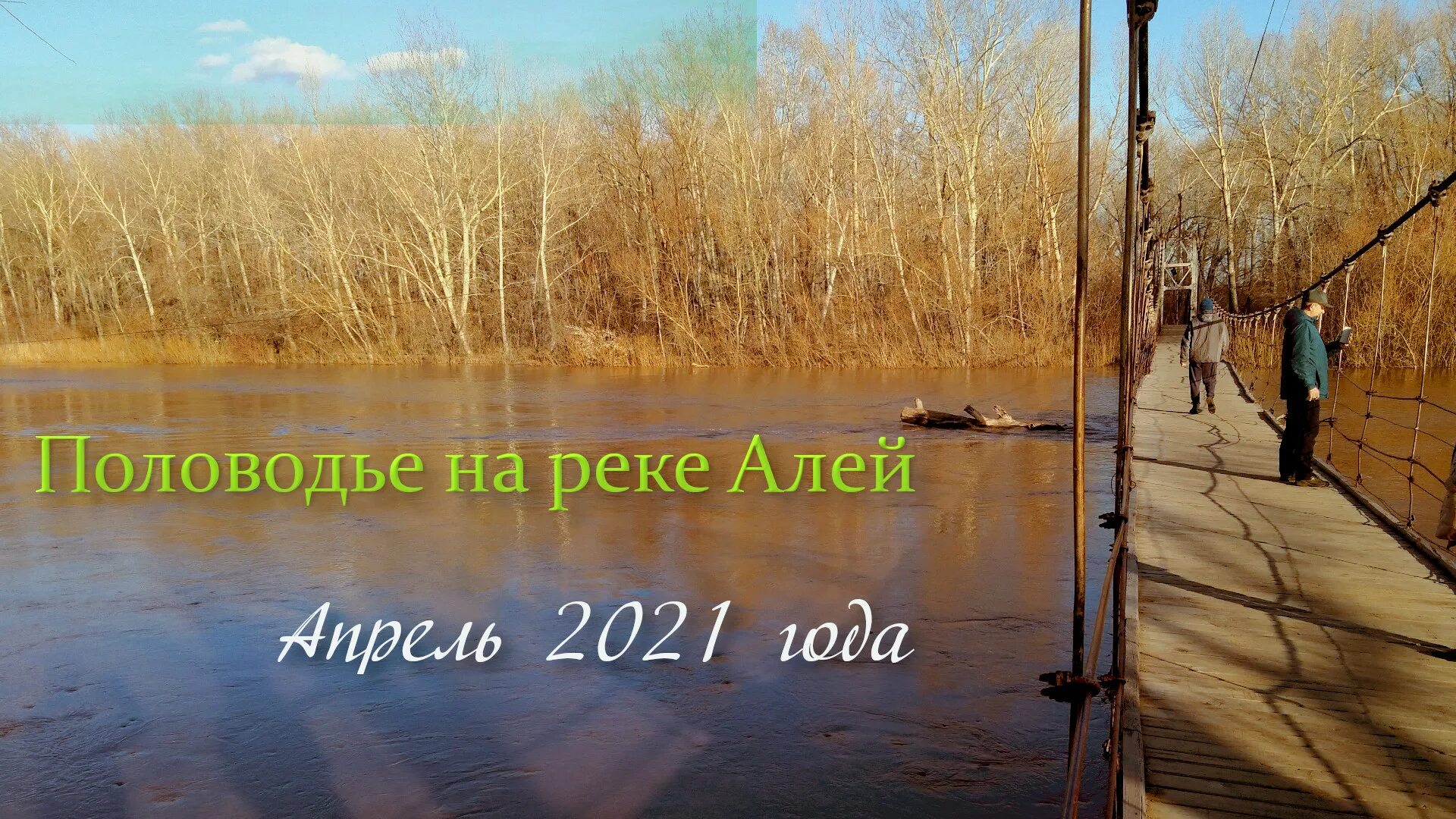 Уровень реки алей