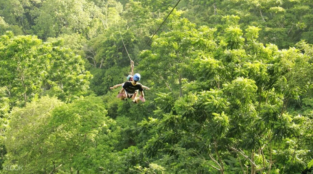 Полет гиббона пхукет. Полет гиббона паттайя. flying hanuman пхукет. зиплайн пхукет.