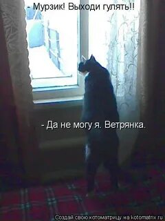 Я выйду гулять