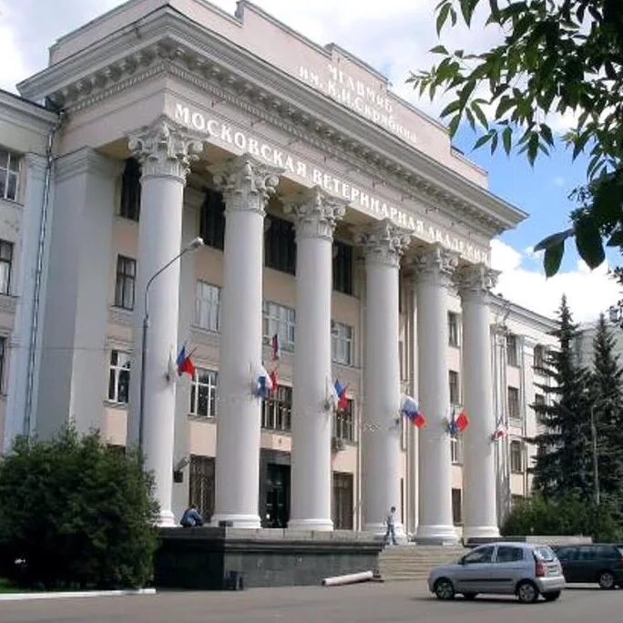Стало государственная академия. Институт ранхигс москва. Стало государственная академия. Московская государственная академия хореографии. Приволжский исследовательский медицинский университет (пиму).