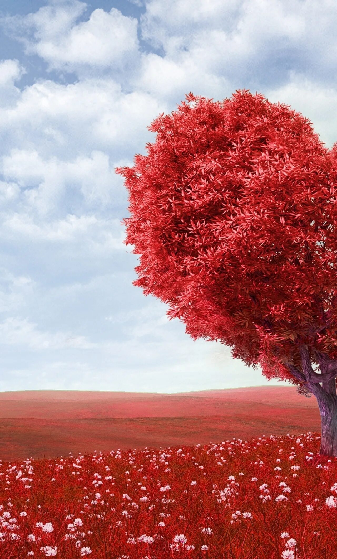 День влюбленных в казахстане 15 апреля. Дерево. Дерево сердце. Разбитое сердце дерево. Козы Корпеш и баян Сулу день влюбленных.
