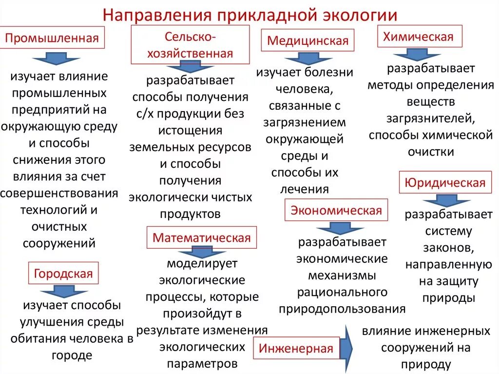 Направления прикладной экологии. Основные направления прикладной экологии. Прикладная экология примеры. Каковы основные направления экологии?.