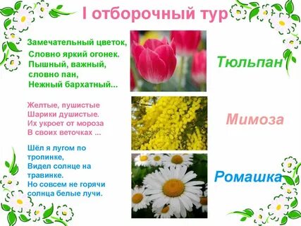 Желтые пушистые шарики душистые их укроет