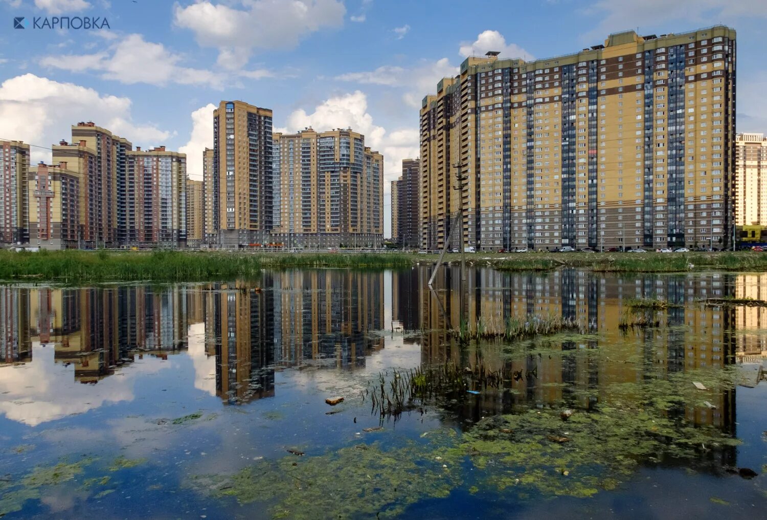 Вода парнас. Парнас Санкт-Петербург. Питер район Парнас. Северная Долина Санкт-Петербург. Район Парнас Санкт-Петербург Варламов.