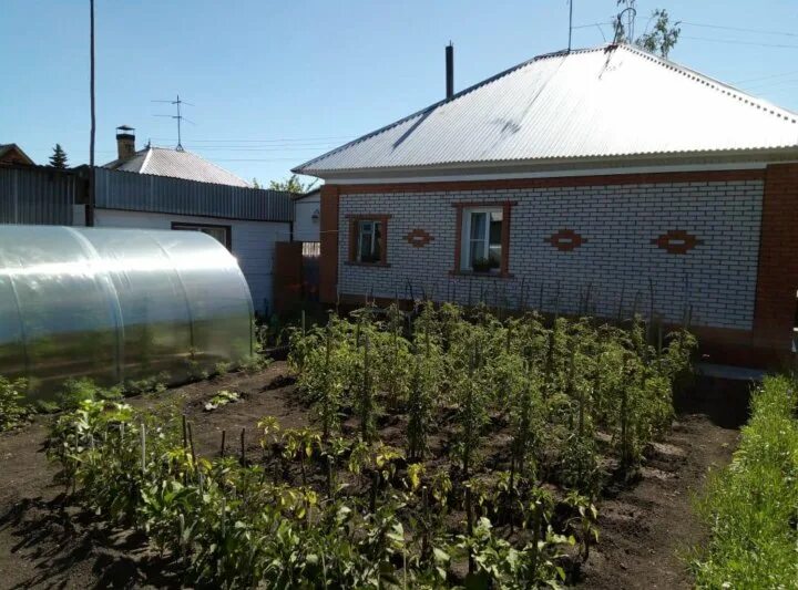 Сайт авито бийск. Сорокино пгт Алтайский край. Алтайский край город Бийск продают дом в ШАБЕЛИНО. Алтайский край, Бийск, Приречная ул., 81 р-н Сорокино. Пригородная 45 Бийск пос новый.