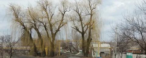 Погода лихая ростовская область