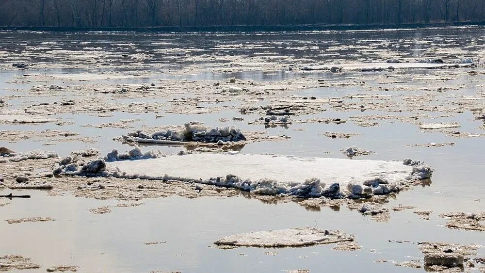 Прочитайте ледоход лед идет вышел на берег. Ледоход Обь. Ледоход в Барнауле 2022. Барнаул река Обь ледоход. Река Обь ледоход 2022 года.