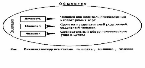 Соотнеси понятия и определения индивид
