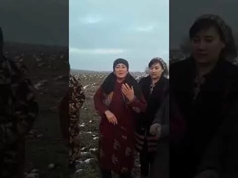 Ханифа самарканд. Самарканд вилояти иштихон тумани. Azizsan kattaqorgon. 30z777zz номер узбекистан. Самарканд президент ислам каримов.