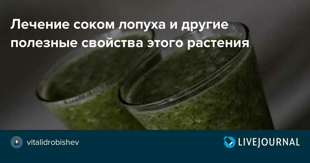 Сок лопуха. Сок листьев лопуха от кисты почки. Сок лопуха для лечения почек. Сок лопуха от кисты яичника. Как принимать сок лопуха