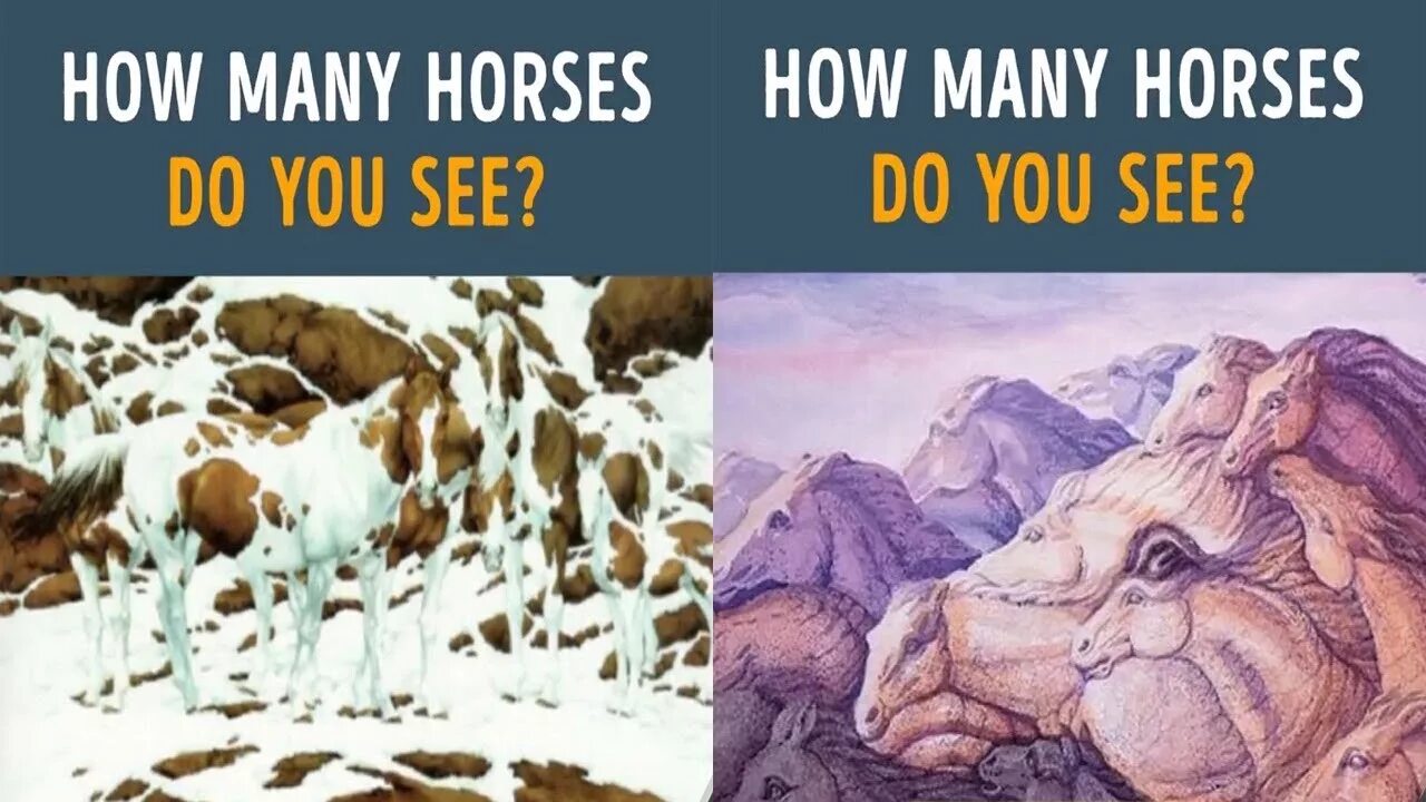 How can you see. How many animals can you see. how many horses. how many horses can you see. how many animals can you see for kids.