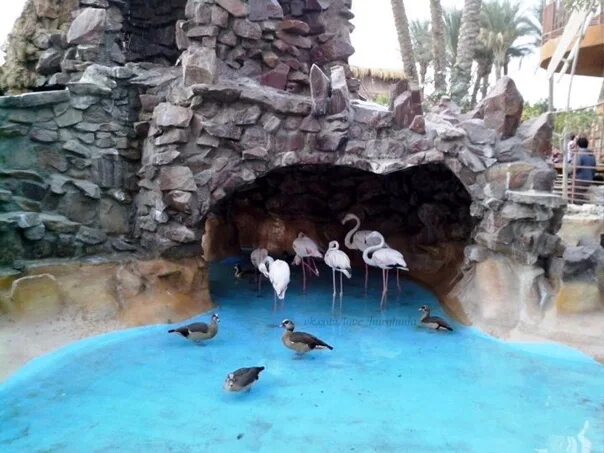 Гранд аквариум Египет. Grand Aquarium Хургада. Океанариум «Гранд-аквариум» в Хургаде. Египет Хургада Гранд аквариум. Океанариум хургада