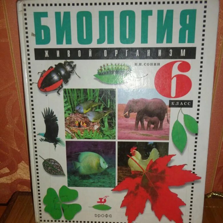 Электронная биология 6 класс. Биология. 6 класс. учебник. учебник биологии 6. учебник по биологии 6 класс. книга биология 6 класс.