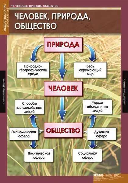 Политическая жизнь общества обществознание 6 класс презентация. Человек общество природа. Человек и природа Обществознание. Человек общество природа Обществознание. Человеческая природа Обществознание.