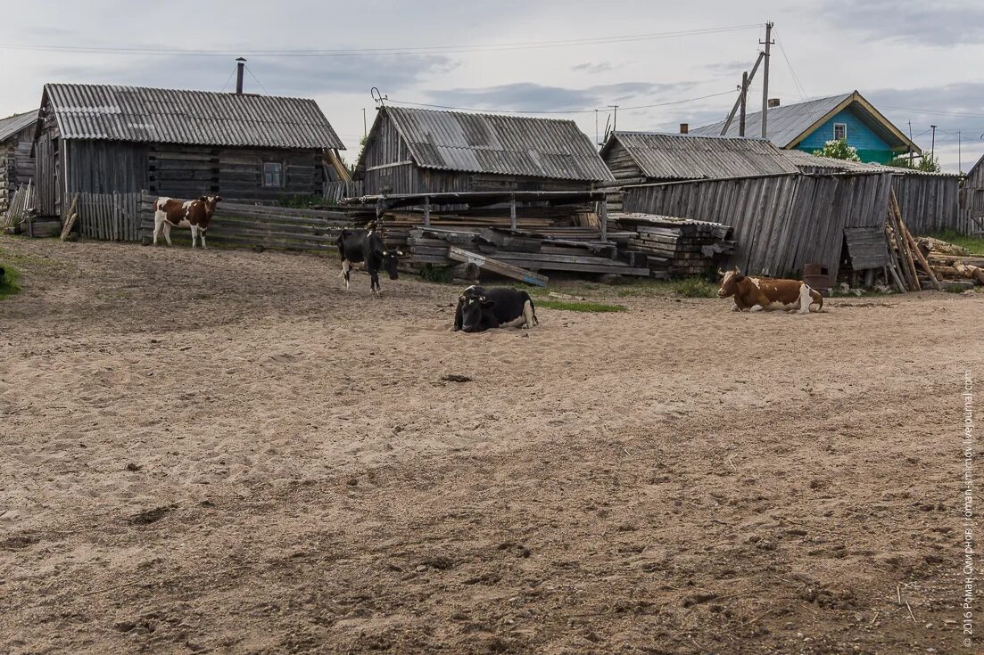 Деревня усть поча архангельская область. Погода в поче архангельская область. Погода в поче архангельская область. Деревня усть поча архангельская область. Погода в поче архангельская область.