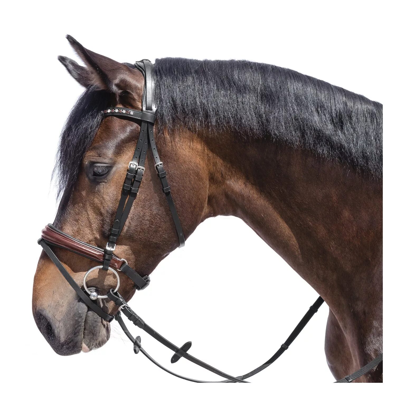 Недоуздок биотан. Недоуздок шетти. Недоуздок оголовье трензель. Уздечка equestro. Уздечка с кожаным трензелем.