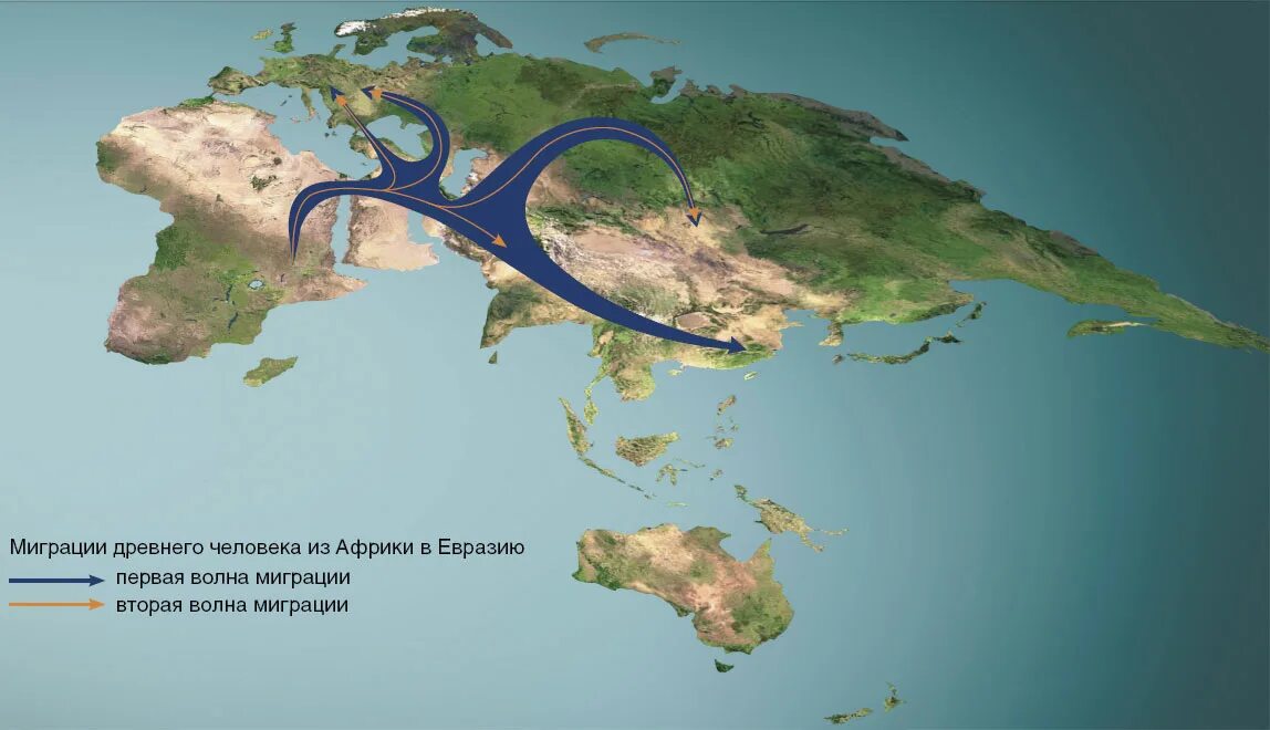 Расселение по земному шару. Расселение современного человека. Расселение людей на земле. Карта расселения человека на земле. Пути миграции древних людей.