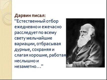 Каким образом естественный отбор направляет ход