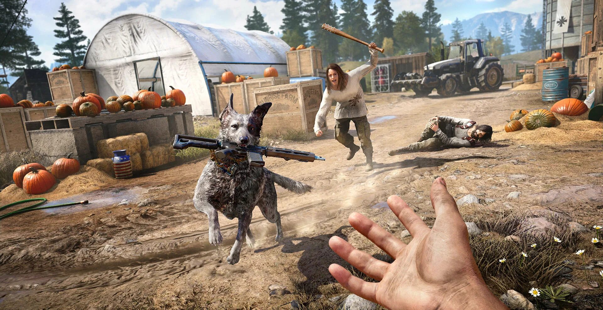 Far cry 5 как быстро