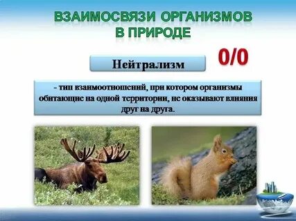 Примеры взаимодействия с природой