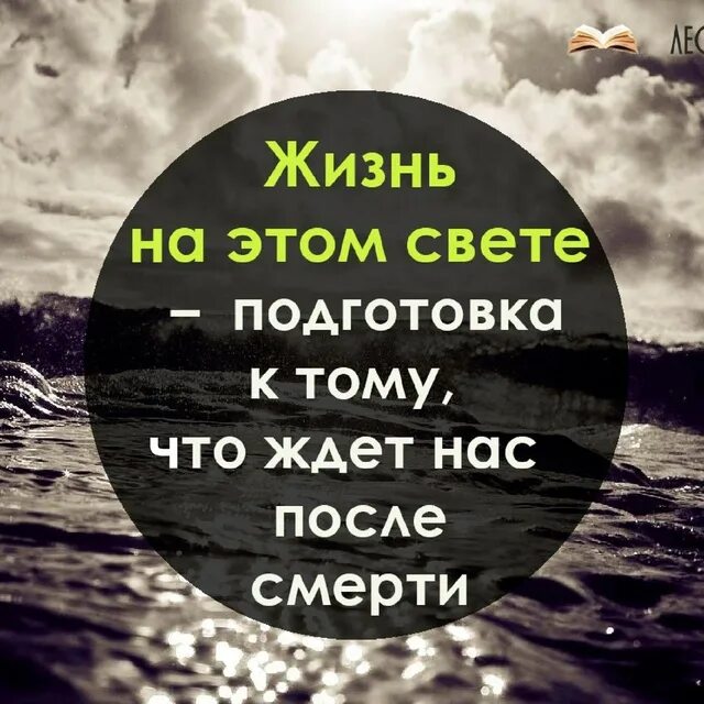 Мотивирующие фразы терпение. Что нас ждет в этой жизни. Успейте жить цитаты. Что нас ждет в этой жизни. Если бы вы знали награда за терпение.