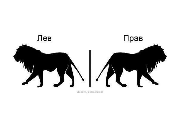 Лев прав движение. Лев прав. Лев прав приколы. Лев прав мемы. Картинка Лев прав.