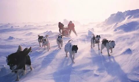 Alaska north to the future 1.49