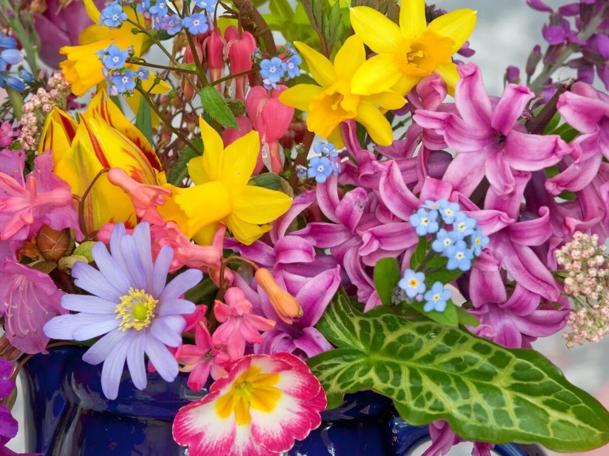 Яркие цветы. Разные цветы. Красивые яркие цветы. Яркие весенние цветы. Цветы картинки праздник красивые