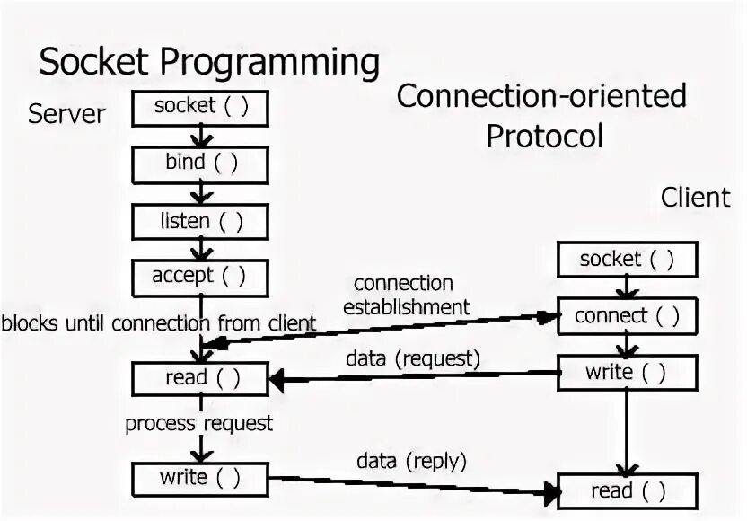 Socket server listen. Socket programming. basics программирование. java socket. socket server linux.