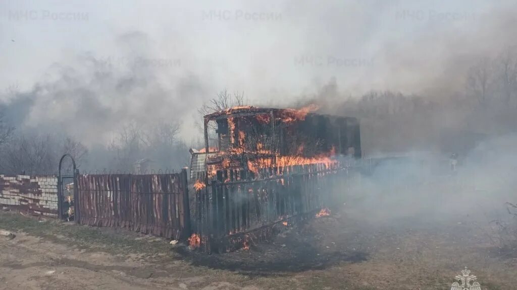 Новости про курганскую область. Пожар в Кургане сейчас в Рябково. Пожар в лесу. Пожар в городе. Пожары в России.