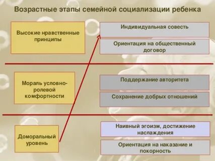 Этапы социализации в семье
