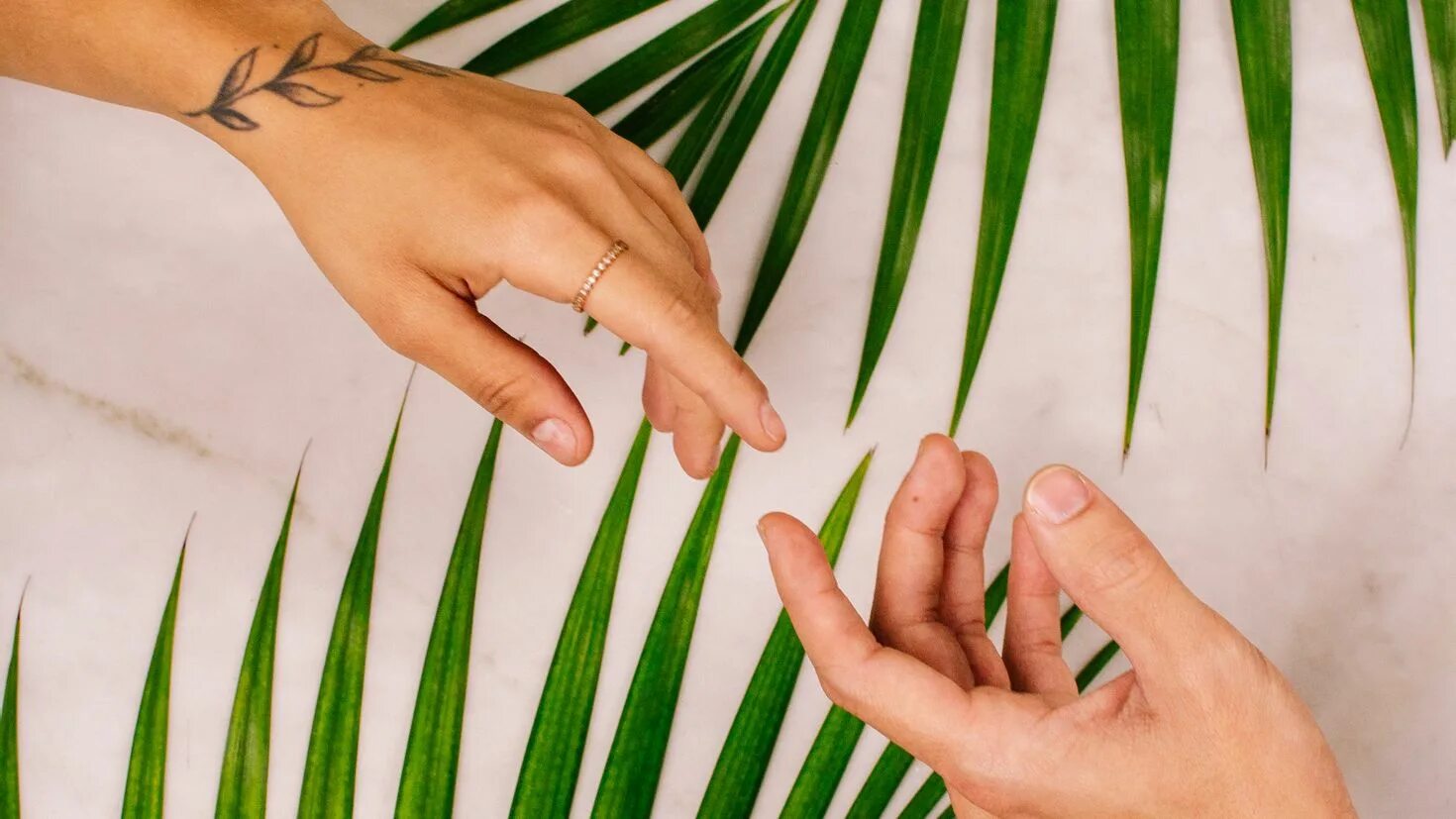 Palms on love. Обои с пальмовыми листьями. Ветка пальмы в руке. Руки Эстетика. Маникюр на фоне пальмового листа.