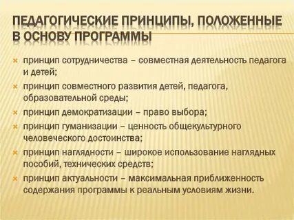 3 социально педагогические принципы