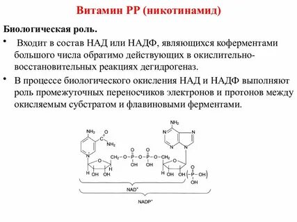 Коферменты над и надф