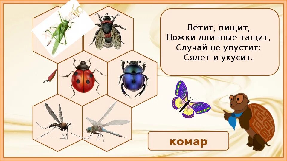 Летит пищит сядет