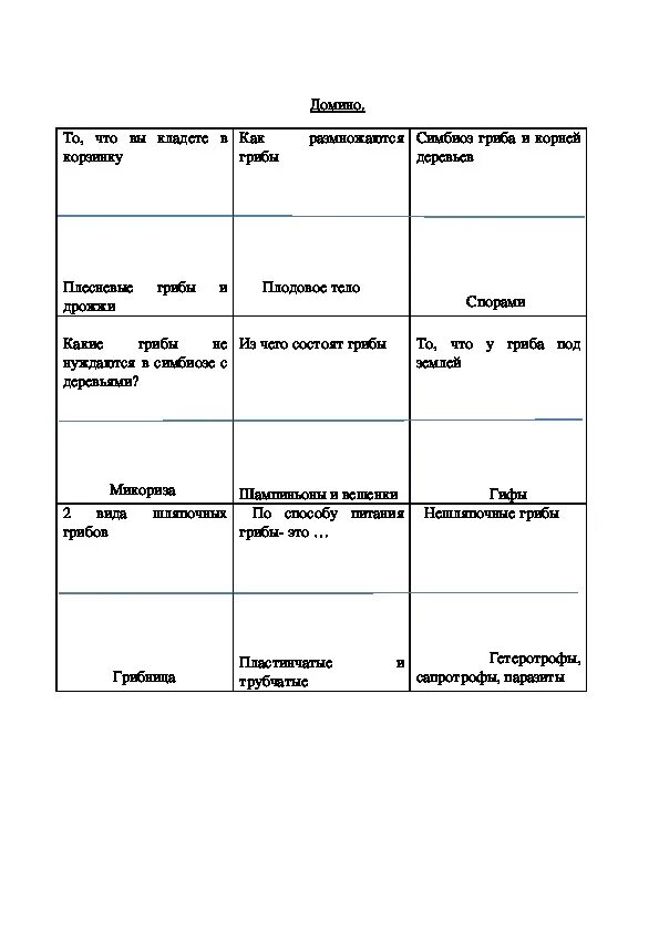 Конспект урока биологии 5 класс пасечник. Таблица плесневые грибы и дрожжи 5 класс. Плесневые грибы и дрожжи 5 класс биология таблица. Плесневые грибы 5 класс биология таблица. Плесневые грибы и дрожжи таблица.