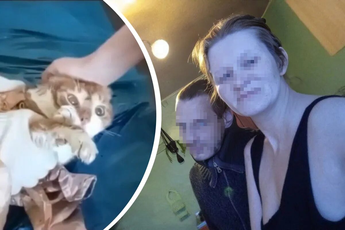 Памятник кузе в санкт-петербурге. Кот кузя живодеры из северодвинска. Анна виктория громович живодер. Анна громович кот кузя. Северодвинск живодеры кот кузя.