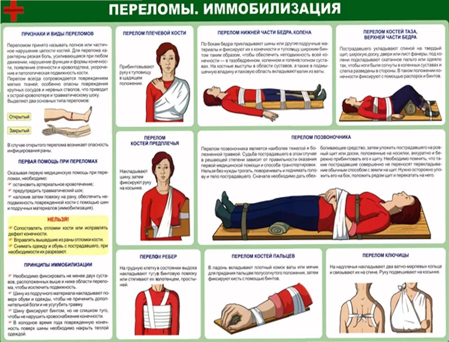 Медицинские препараты по оказанию медицинской помощи. Алгоритм оказания первой помощи переломы конечностей. Оказание 1 доврачебной помощи при переломах. Иммобилизация пострадавшего при переломе верхней конечности. Порядок оказания ПМП при переломах.