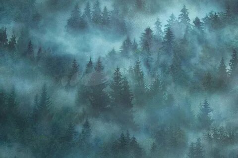 My forest home deluxe